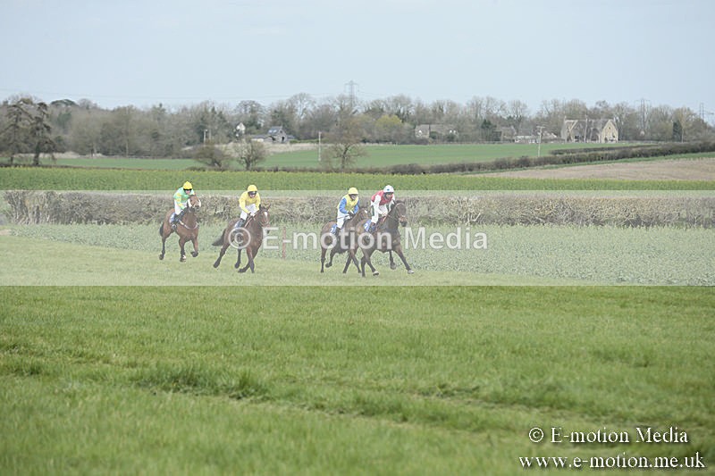 PtP 230319 23 - VWH Hunt Siddington Point-to-Point Racing 23/03/19