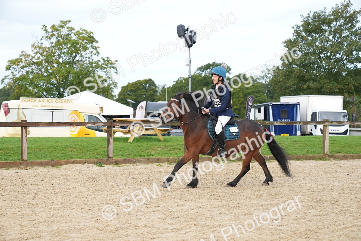 SBM_01935 - J54 - Clear Round 50cm