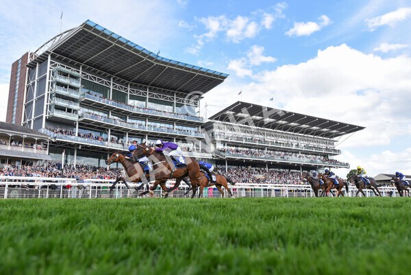 yr21052022r6-24 - Race 6: 4:42pm Yorkshire Regiment Stakes