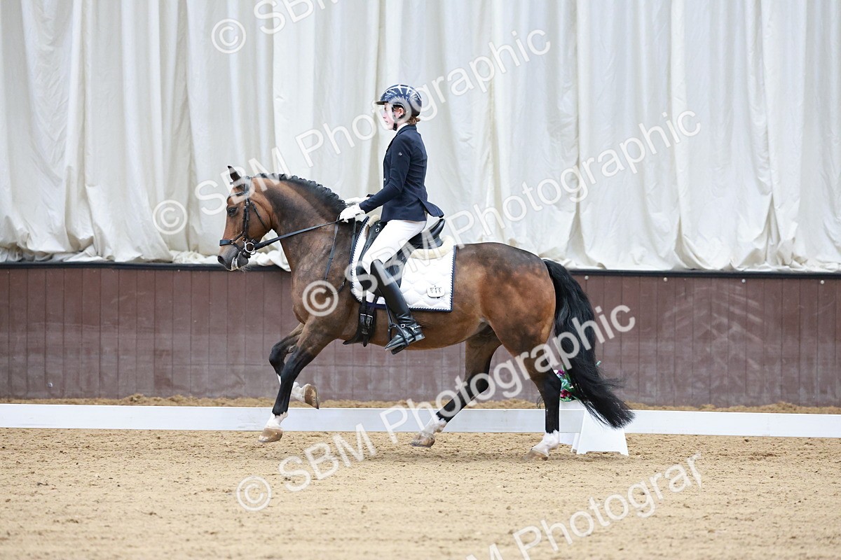 SBM_017157 - Class15 - FEI Pony