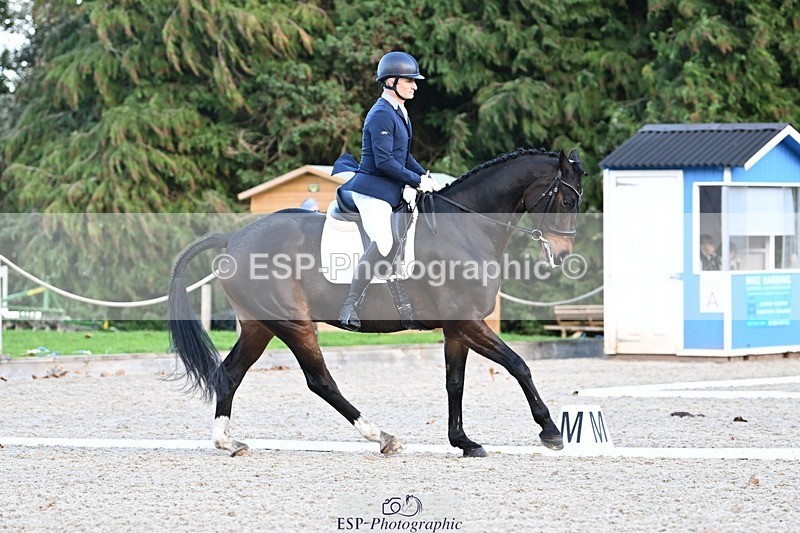 231110-134213-01028 - Cls 4 Novice 39Q