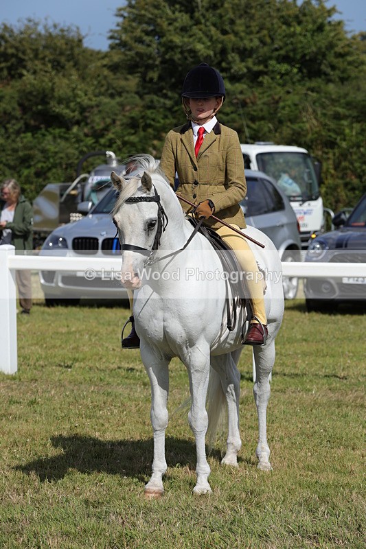 1X9A5735 - Class 40: NPS Welsh A & B