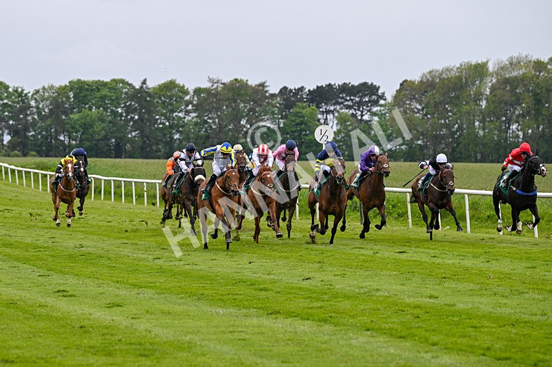160526-Race 6-Empire Of Light-9952 - Race 6 4.47pm Sky Bet Club Handicap