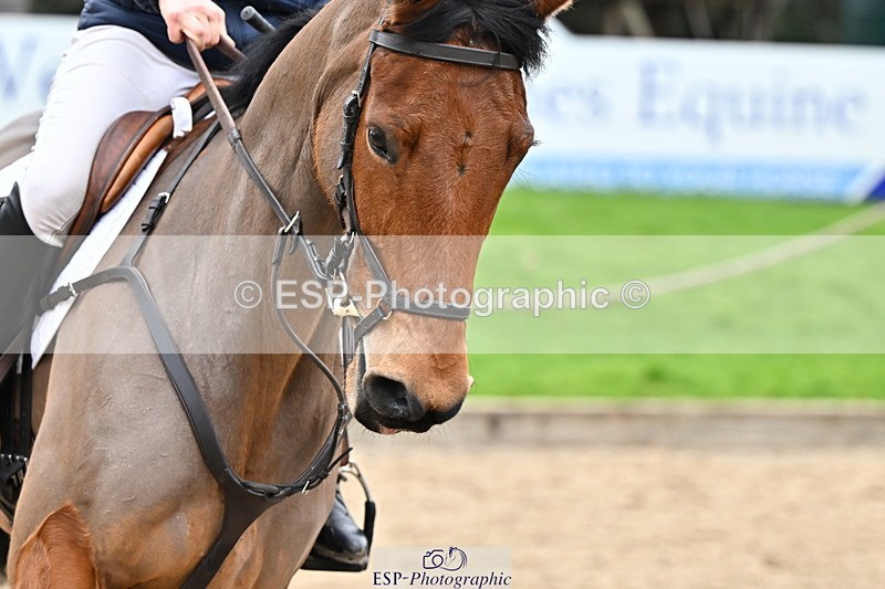 250201A-103527-00264 - Cls 01 Local Horse 90cm