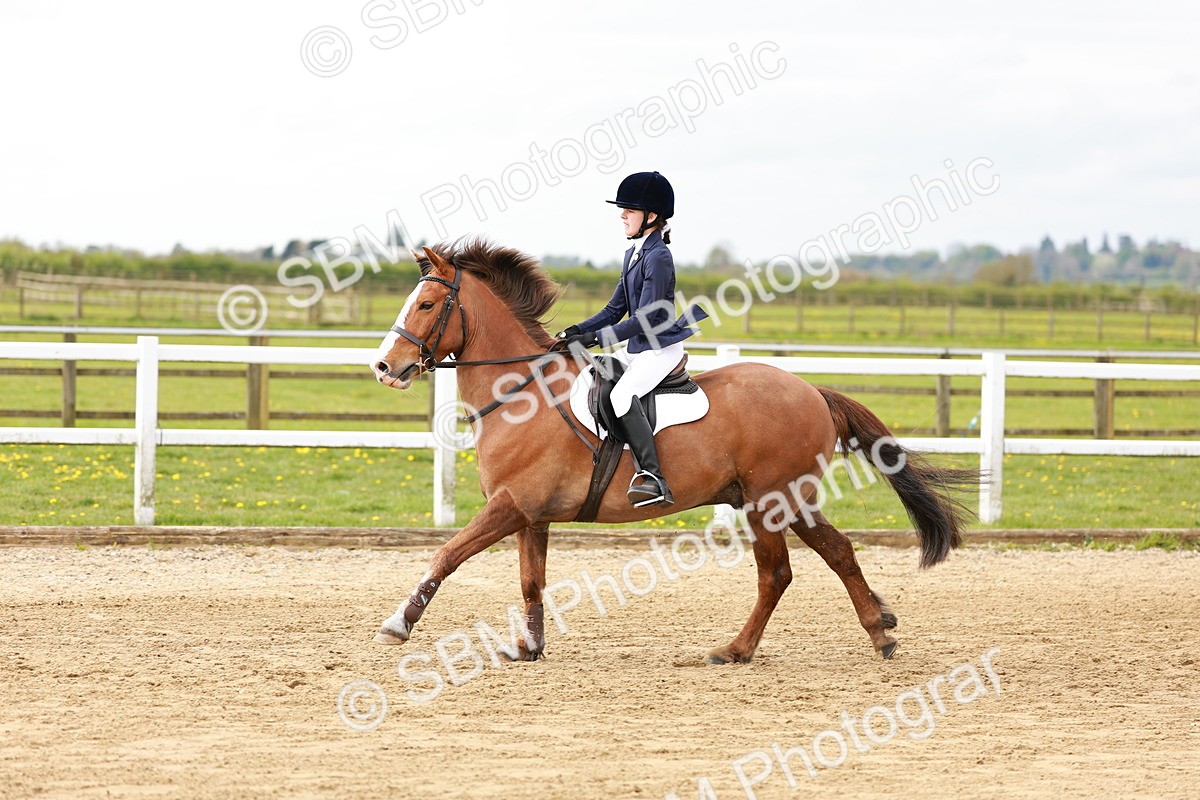 SBM_003777 - Class 3 - 60cm