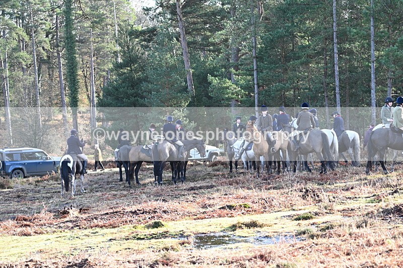 WJ7_7435 - Line 3 (no line 4 or 5)