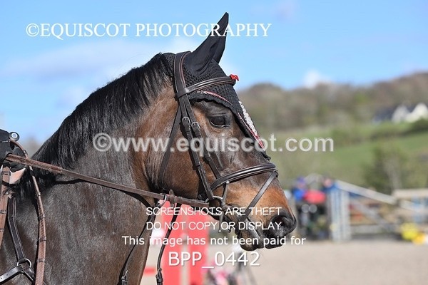 BPP_0442 - CLASS 22 SUN Senior Newcomers/ 1.10m Open