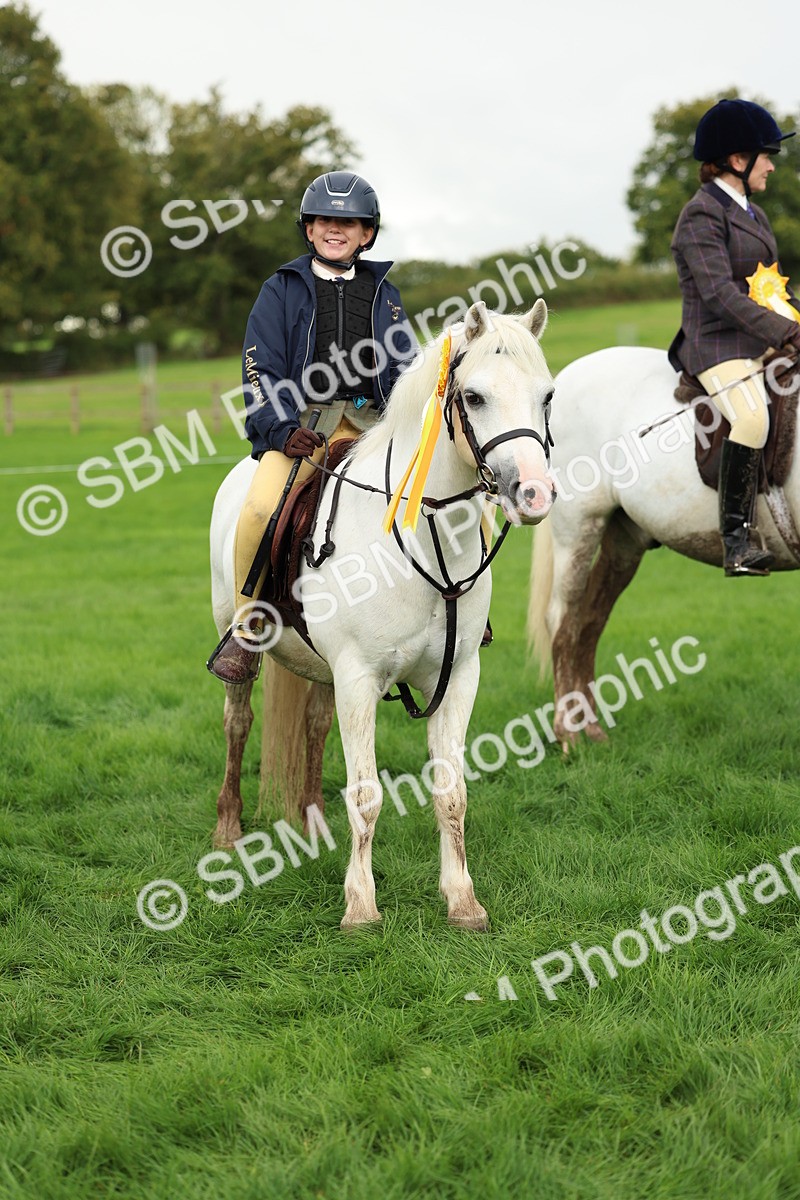 SBM_41898 - S32 - Mountain & Moorland Working Hunter Pony
