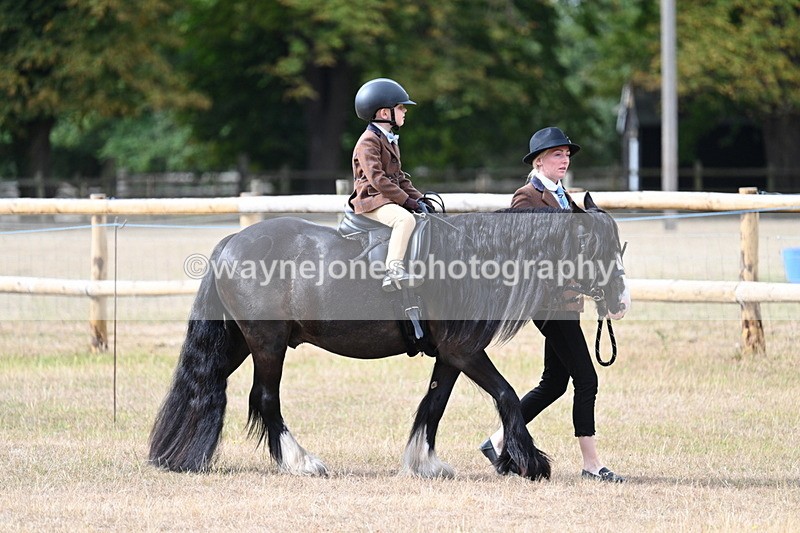 WJ7_6414 - Class 1 Lead Rein Pony
