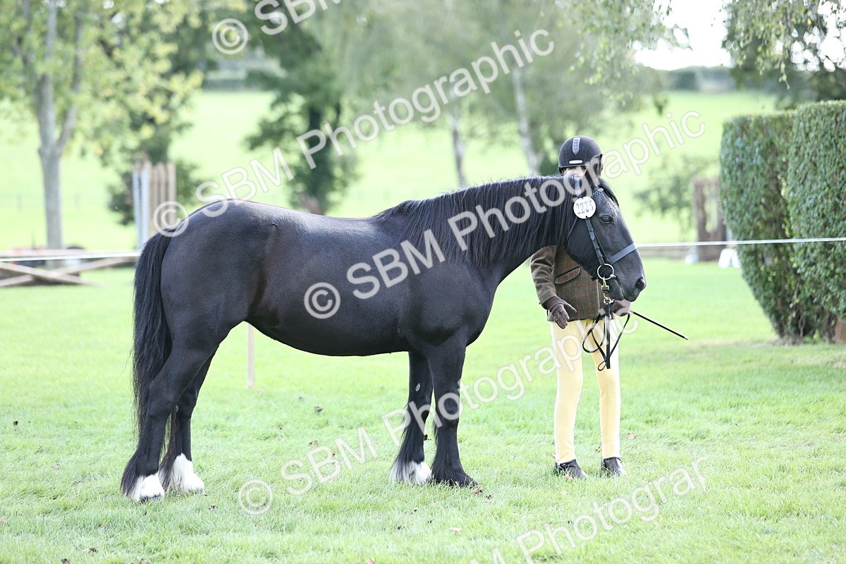 SBM_26247 - S5 - Novice & Newcomers In Hand
