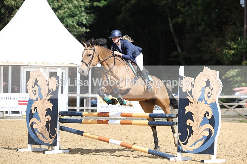 3E7A9276 - Class 9: Senior British Novice/90cm open