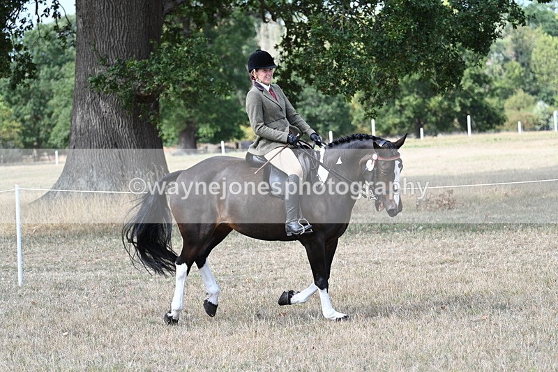WJ7_6048 - Class 13 Ridden Veterans