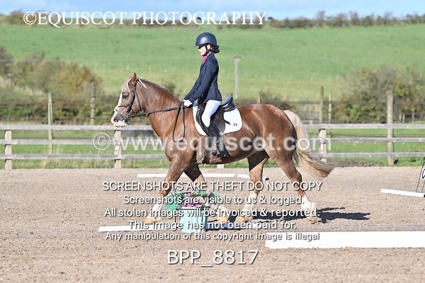 BPP_8817 - SHORT ARENA