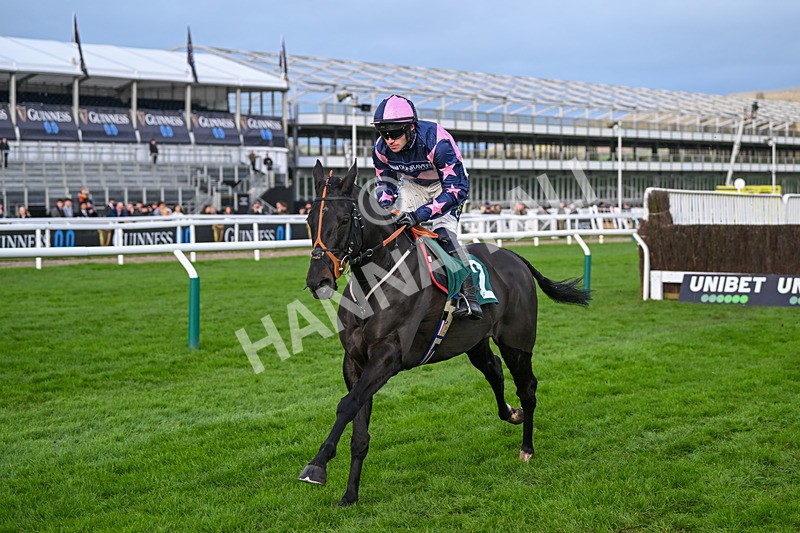 171124-Race 3-Third Time Lucki-3140 - Race 3