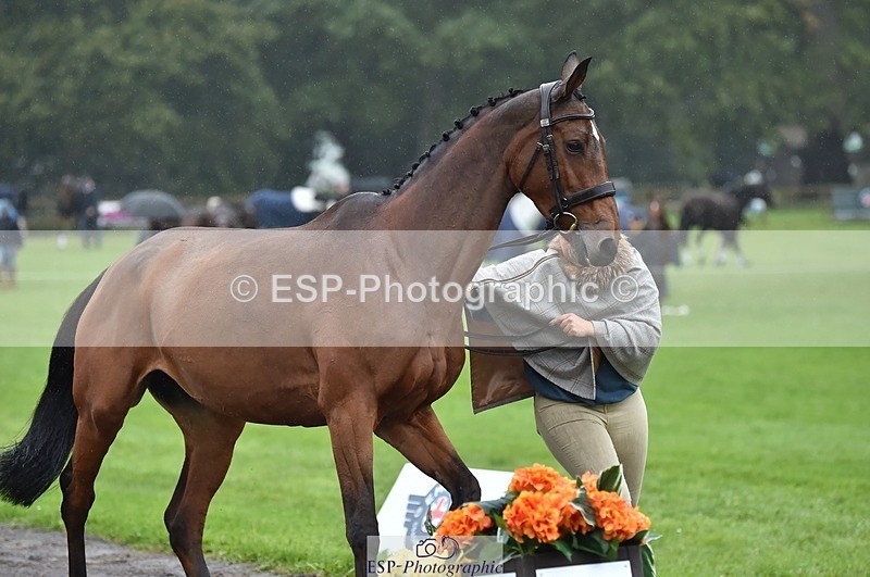 231018-121708-00187 - 025-LYRICAL.II-Harriet.Dickin-TrotUp