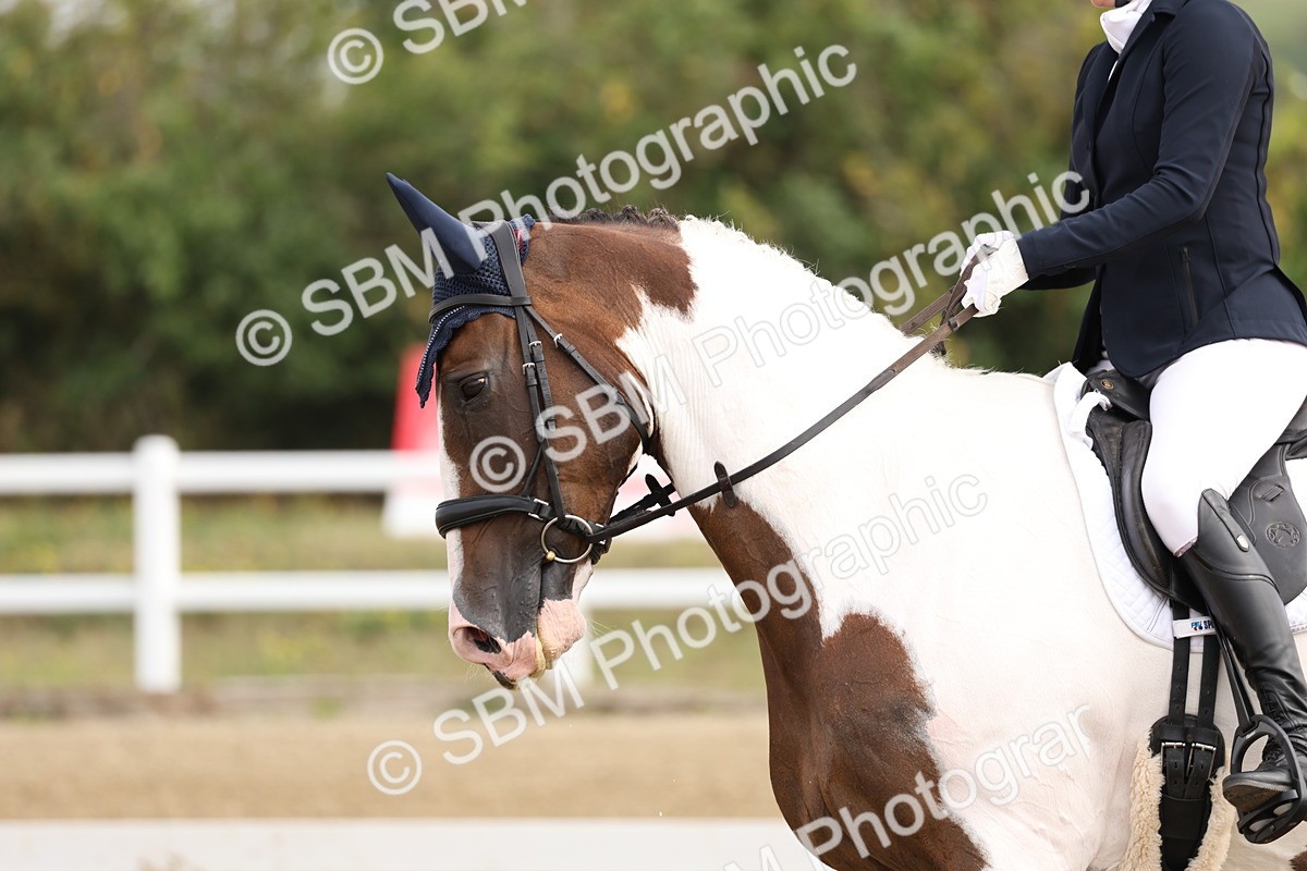 SBM_005445 - Class 6 - Novice 6 - 9.30-10.12