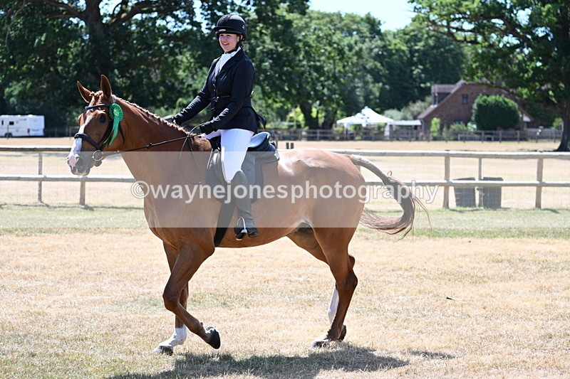 WJ7_3211 - Class 7 Riding Club Show Horse