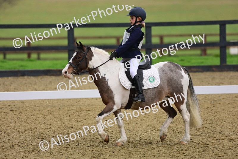 20260125-0632 - Class 9b - Walk Trot Unassisted