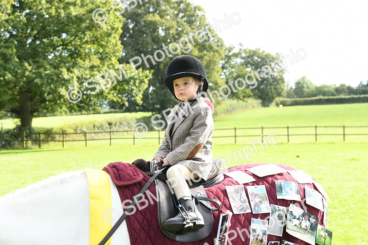 SBM_47261 - S12 - Family Horse & Pony