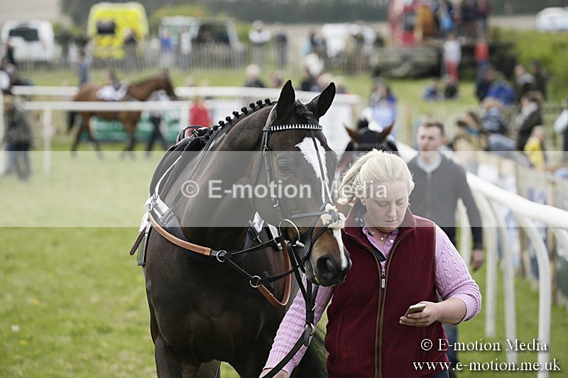 PtP 170417 223 - Old Berks Point-to-Point Lockinge 17/04/17