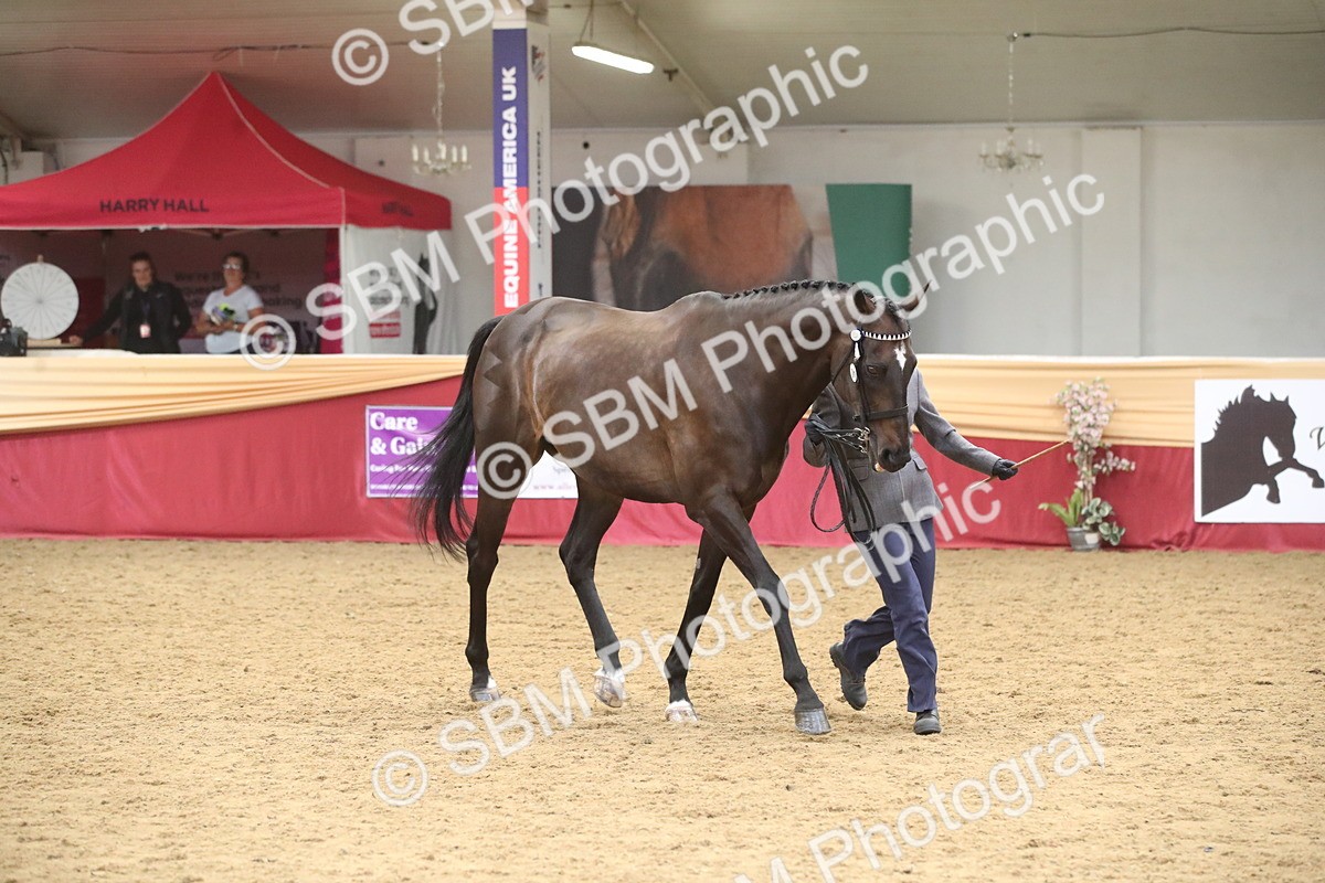 SBM_05703 - Class 9R - Regional IH Pre-Vet