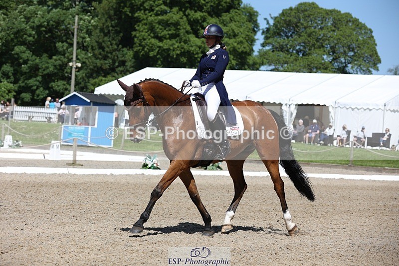 230526-112251-06043 - 152-RENKUM_JITTERBUG-Phoebe_Locke-WEDTrotUp+DR