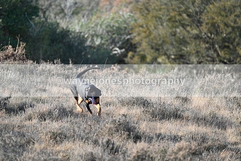 WJ7_7880 - Line 3 (no line 4 or 5)