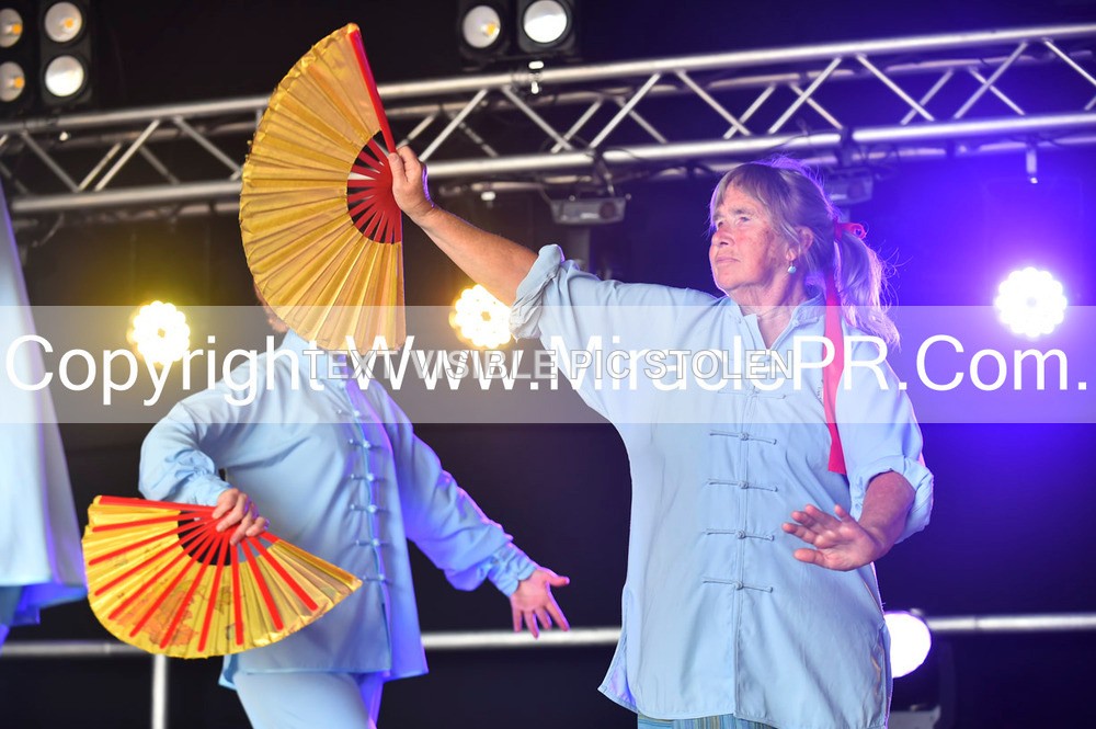 SH4_1738 - Tai Chi with Lisa Kay.