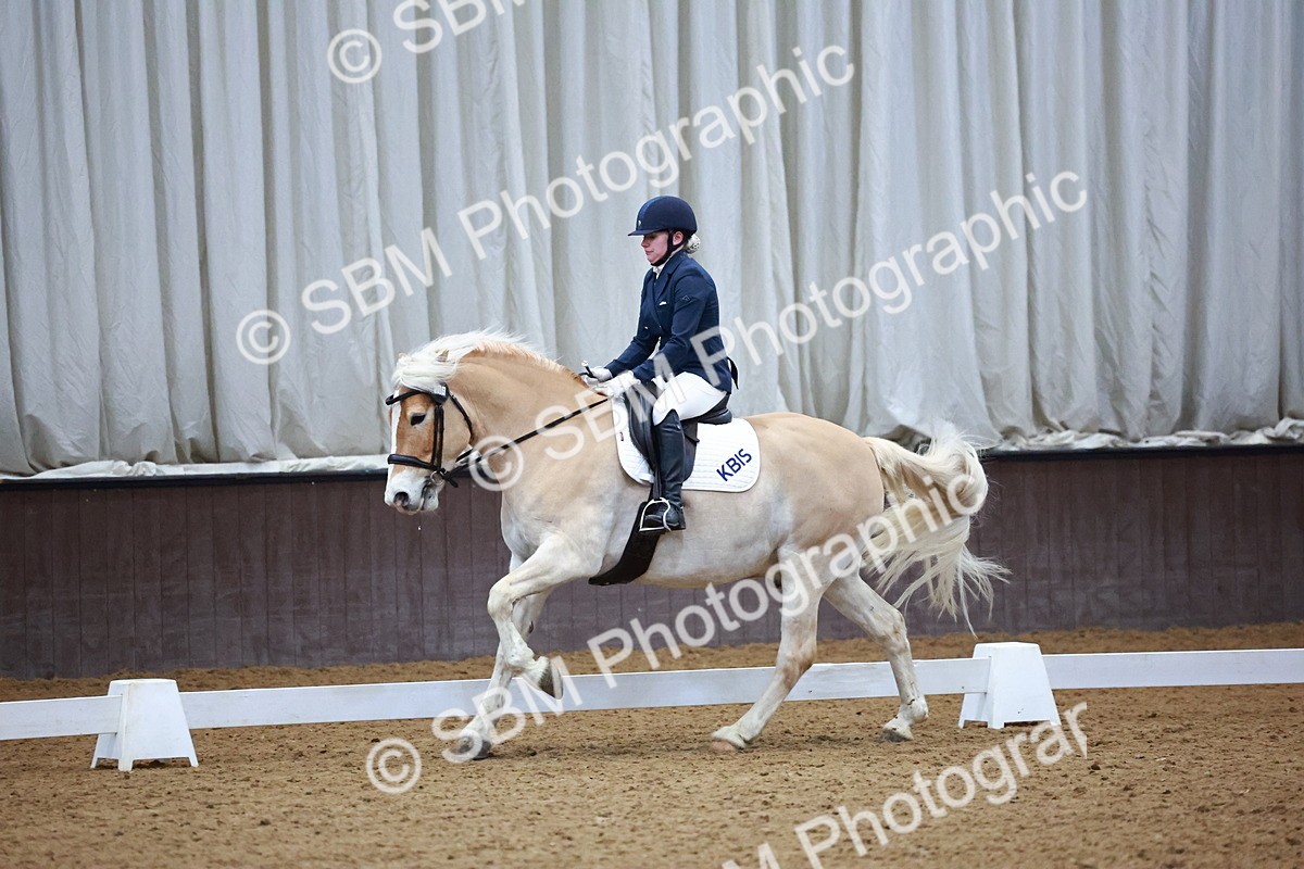 SBM_002901 - Novice Music