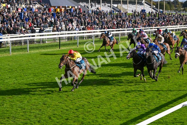 111024-Race 5-Vince LAmour-2003 - Race 5 3.45pm Copper Knight - Winning Most Horse At York Handicap