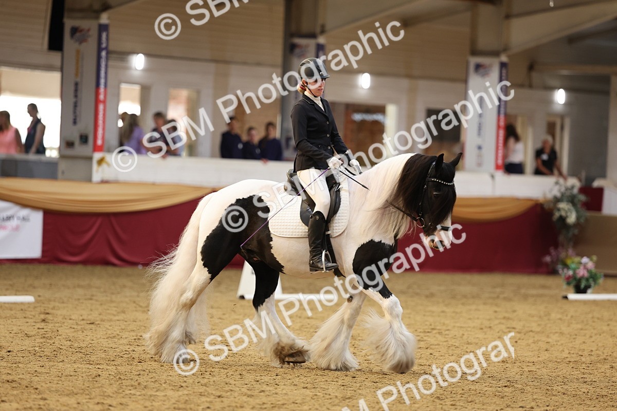 SBM_09305 - Class 51 - Dressage to music