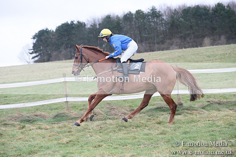 PtP 230119 292 - Royal Artillery Point-to-Point  - Larkhill  - 26/01/19