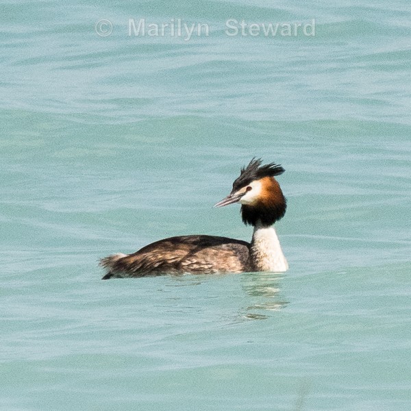 Lake Garda-32 - Lake Garda, Verona and Venice