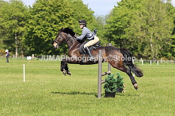 IMG_4533 - Working Hunter