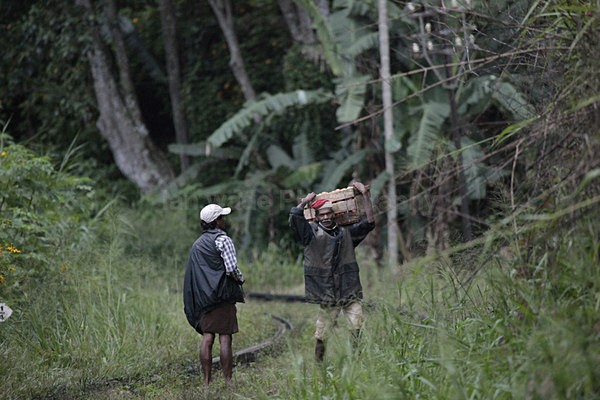  - Sri Lanka wildlife, people & places