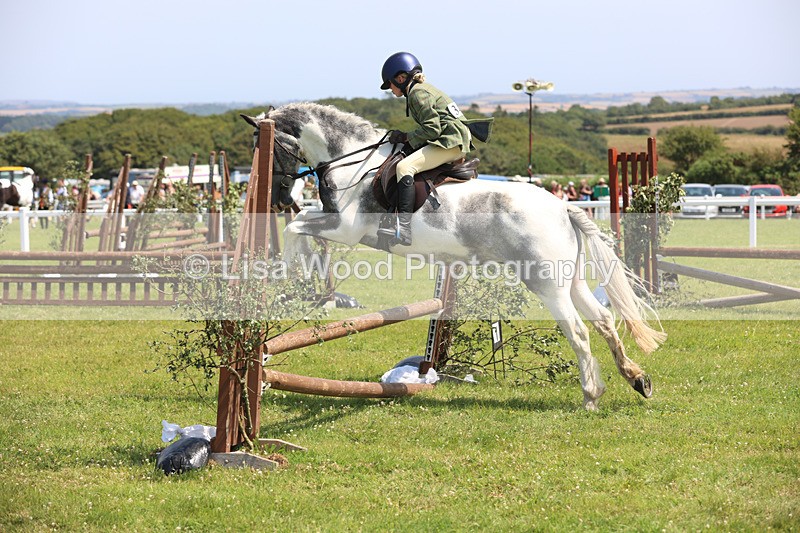 JPP_3193 - Class 22: Working Hunter 70cm