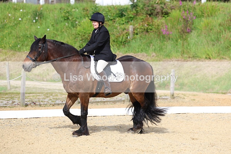 3E7A1368 - Class 1: Intro 2 2024 Section A