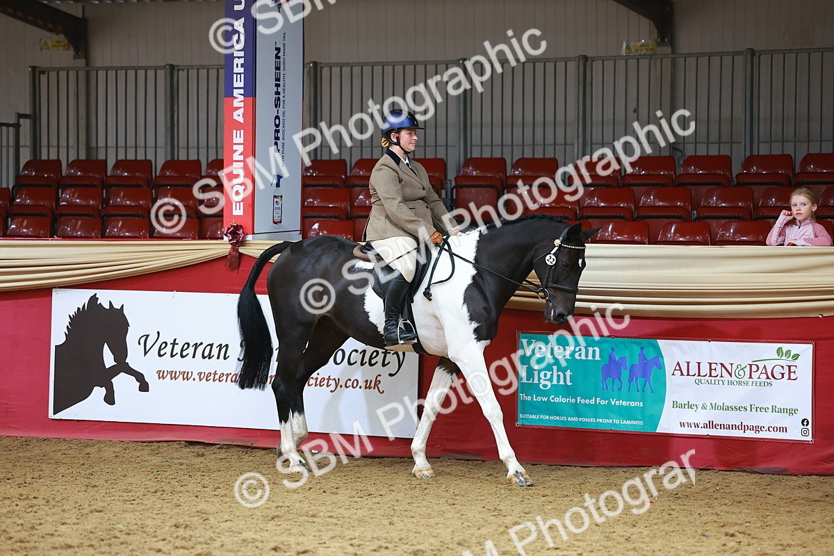 SBM_09578 - Class 102 - HOYS Veteran Qualifier - Ridden Veteran