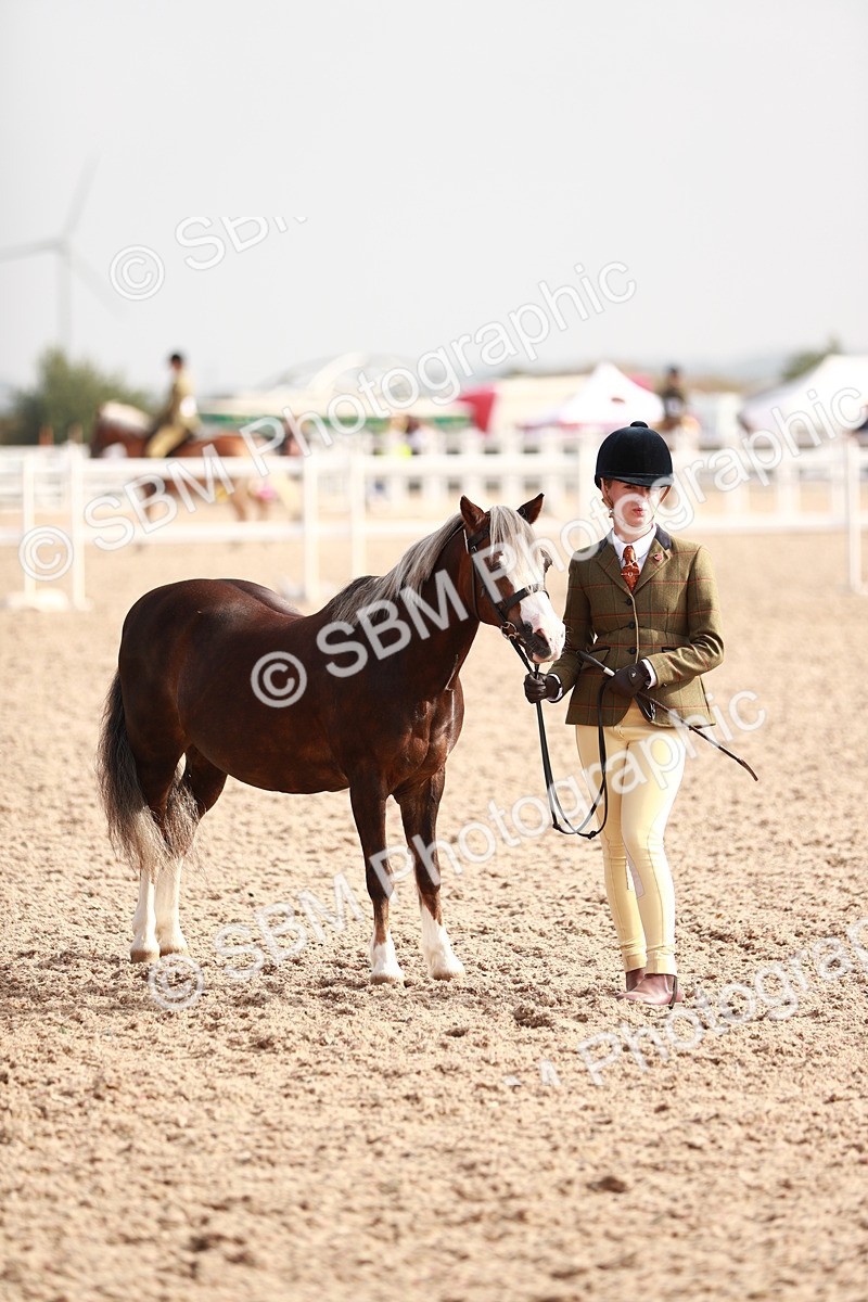 SBM_10599 - Class 204 Young Handler, 11-16 years