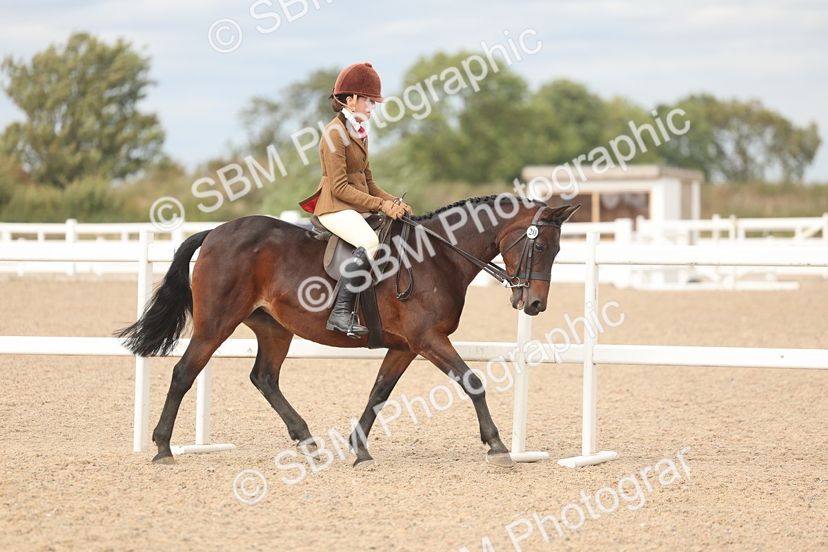 SBM_17973 - Class 314 - Family Horse Pony