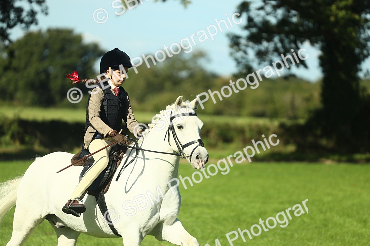 SBM_37507 - S29 - Novice & Newcomers Working Hunter Pony