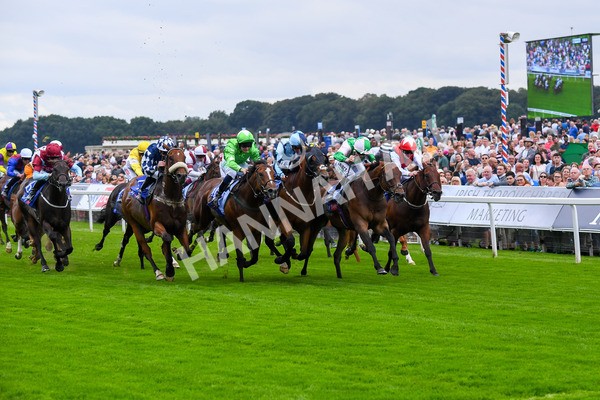 230823-Race 1-Equilateral-0243 - Race 1 1.50pm Sky Bet And Symphony Group Handicap