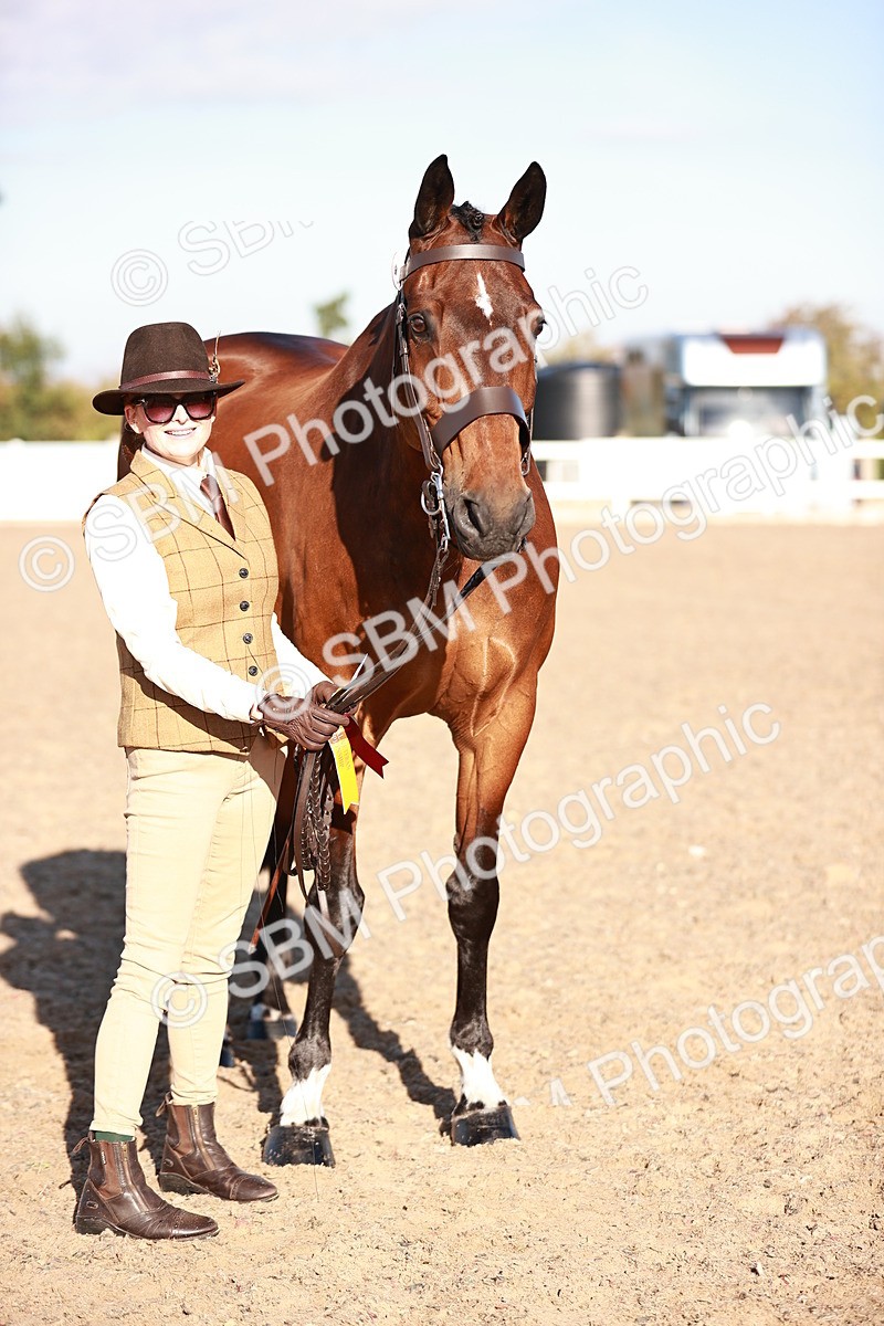 SBM_11227 - Class 401 - IH  Veteran horse