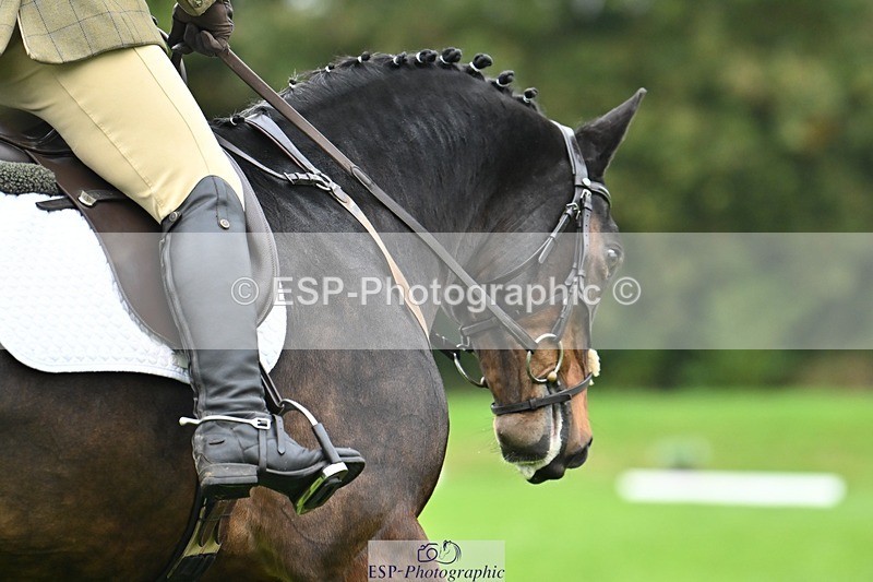 241024-104408-02259 - 311-Janine.Paterson-WILLOWAY.AMIGO