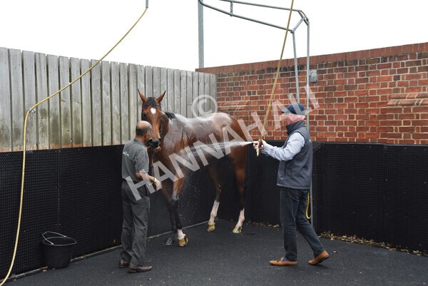 yr19082022r4-130 - Race 4 3.35pm Coolmore Wootton Bassett Nunthorpe Stakes (British Champion Series Race)