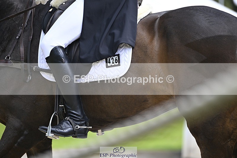 000101-190813-03864 - 426-VISCOUNT_VIKTOR-Tim_Price