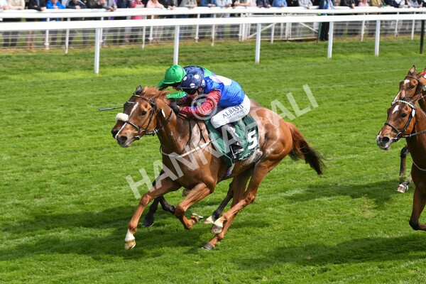 yr12052022r3-17 - Race 3 3.00pm The Paddy Power Hambleton Stakes