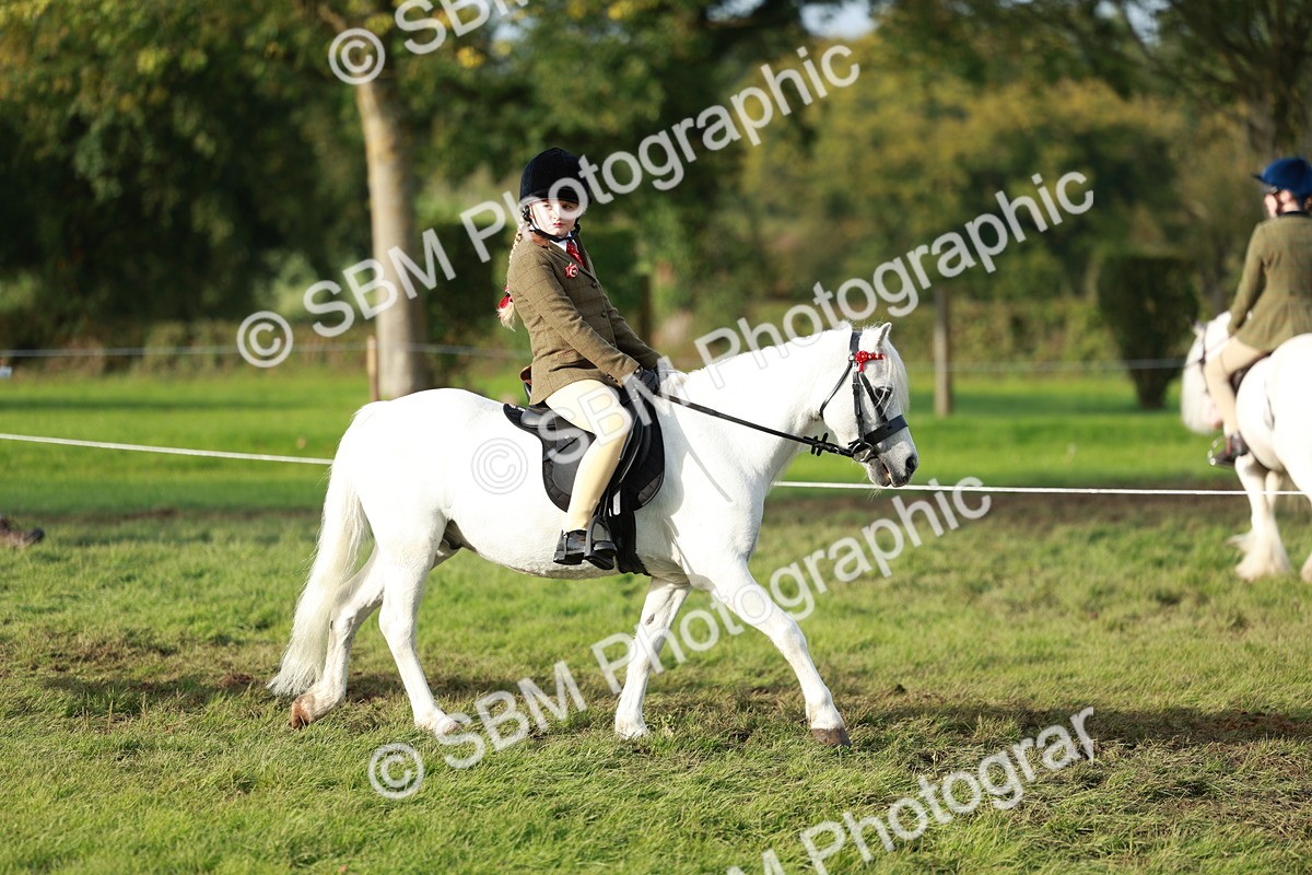 SBM_56251 - S39 - Starters In Hand Showing