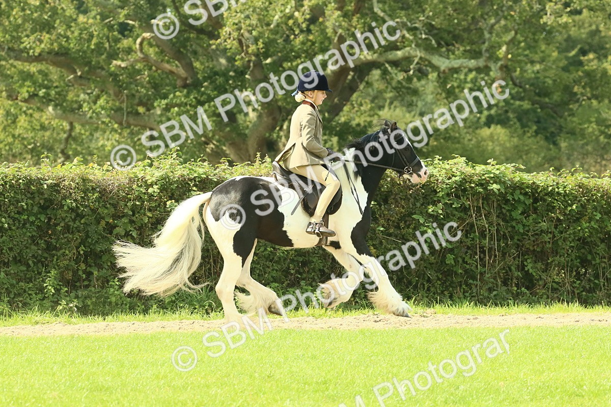 SBM_67472 - S56 - Coloured Pony Ridden