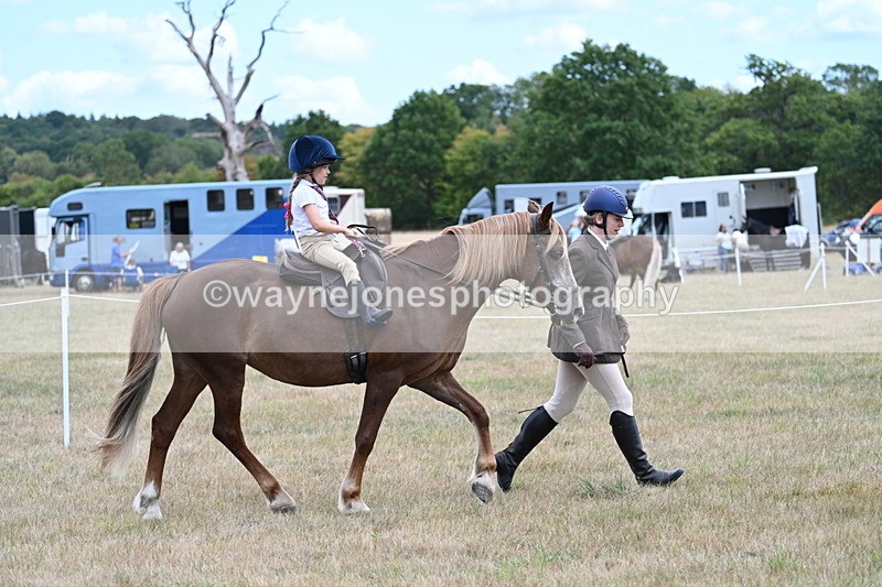 WJ7_4347 - Class 11 Family Mount